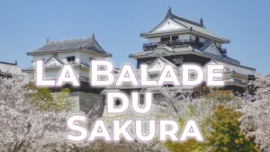 La-Balade-du-Sakura-documentaire-Japon-sur-les-chateaux-japonais